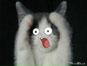 Женя Горобец фотография #47 (источник - https://vk.com/id3794978)