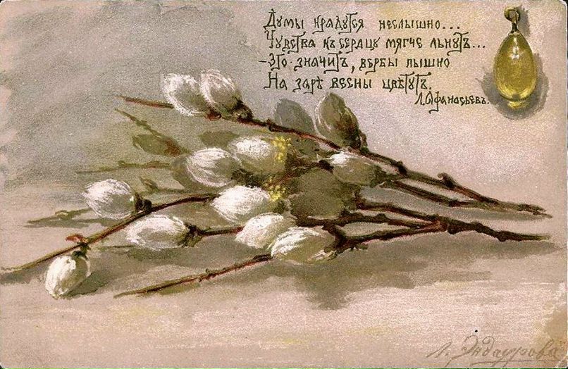 Тамара Пушкова фотография #15