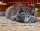 Ольга Молодовская фотография #37 (источник - https://vk.com/id1756052)