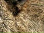 Сергій Савченко фотография #42 (источник - https://vk.com/id17200152)