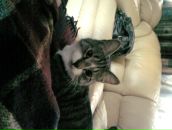 Фотография Докучаевой Ирины