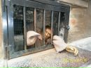 Тарас Демків фотография #39 (источник - https://vk.com/id101291586)