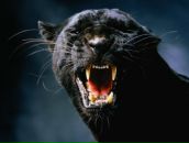 Фотография Демидовой Елены