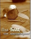 Фотография Захаров Алексей