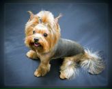 Фотография Нестеровой Марины