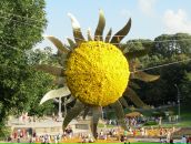 Вікторія Кучер фотография #45 (источник - https://vk.com/id3965617)