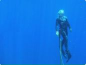 Фотография Смоленкова Дэна