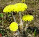 Фотография Ринева Шиляевой Натальи