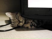 Ірина Довгодько фотография #30 (источник - https://vk.com/id7388106)