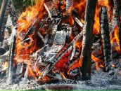 Діма Яценко фотография #29 (источник - https://vk.com/id12352602)