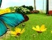Валентина Літовська фотография #31 (источник - https://vk.com/id72194603)