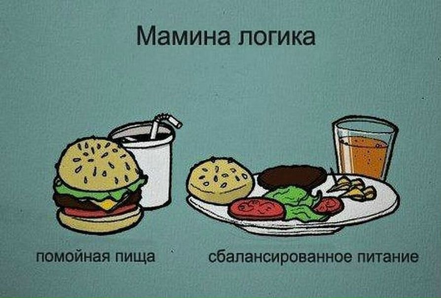 Дмитрий Лапочкин фото №10