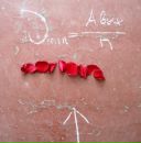 Фотография Фаслер Лоры