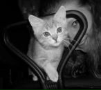 Фотография Izosimov Artyom