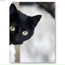 Фотография Широких Натальи