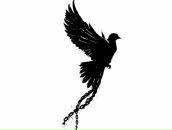 Тим Тимыч фотография #3 (источник - https://vk.com/id1210515)