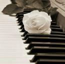 Настя Віннічук фотография #38 (источник - https://vk.com/id163412886)