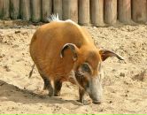 Фотография Соловьевой Анны