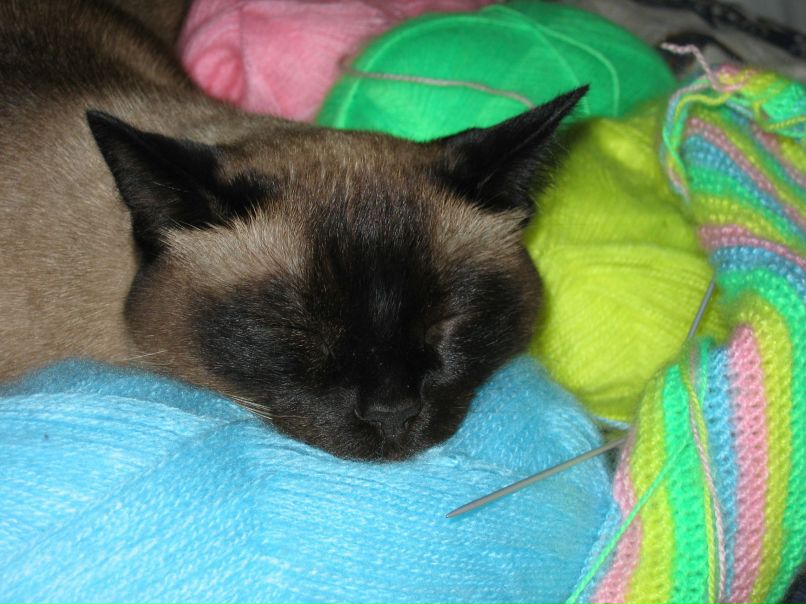 Миша Димачков фотография #30