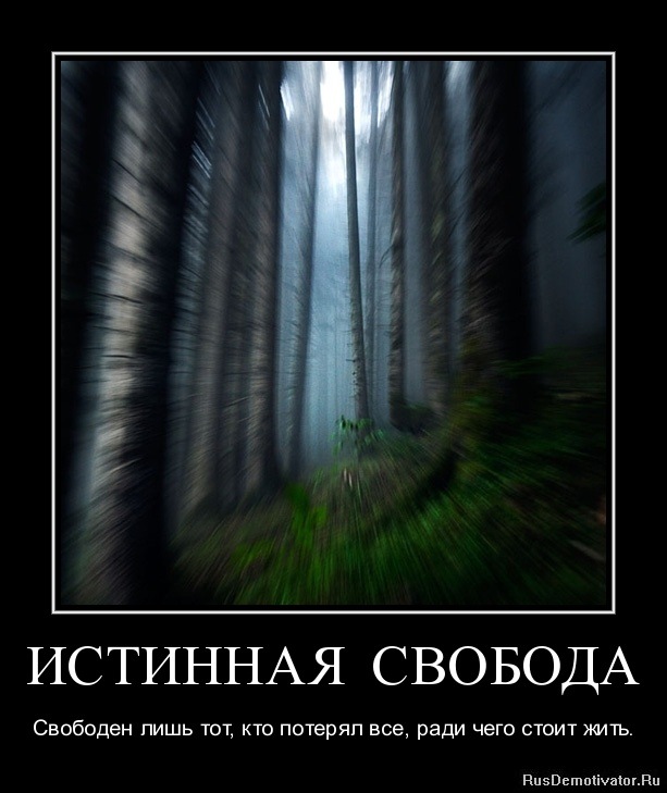 Дима Dsp фотография #8