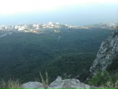 Дмитрий Брагин фотография #9 (источник - https://vk.com/id16422932)