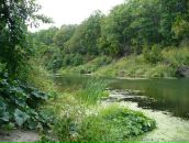 Роман Балов фотография #23 (источник - https://vk.com/id348393)