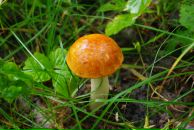 Виталий Маланин фотография #20 (источник - https://vk.com/id698311)