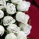 Галя Зінчук фотография #22 (источник - https://vk.com/id66067971)