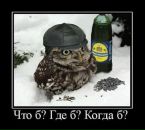 Максим Іващик фотография #41 (источник - https://vk.com/id134287271)