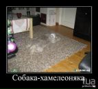 Андрій Філевський фотография #21 (источник - https://vk.com/id8253747)