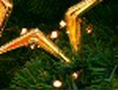 Дмитрий Сидоренко фотография #46 (источник - https://vk.com/id102488413)