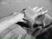 Фотография Сандал Юлии