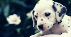 Фотография Ходаковской Нади