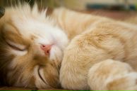 Марія Кравченко фотография #47 (источник - https://vk.com/id18020628)