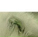 Марія Гірняк фотография #4 (источник - https://vk.com/id135497955)