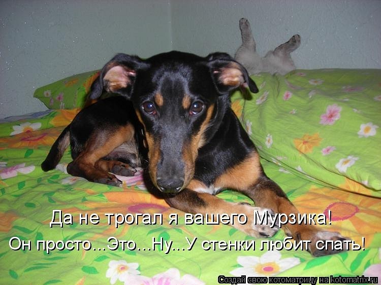 Ирина Левченко фотография #48