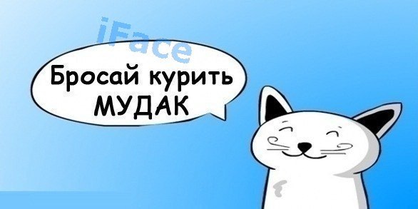 №4, Андрей Воблов, 34 года, Темиртау №4, Андрей Воблов, 34 года, Темиртау