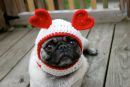 Юлія Мироненко фотография #5 (источник - https://vk.com/id4214092)