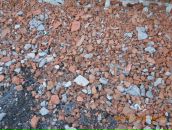 Мішка Марчук фотография #39 (источник - https://vk.com/id67584611)