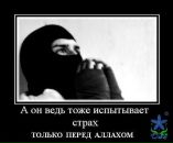 Nasrudi Κозлов фотография #3 (источник - https://vk.com/id134512410)