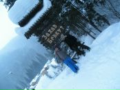 Андрій Botanik фотография #35 (источник - https://vk.com/id40286128)