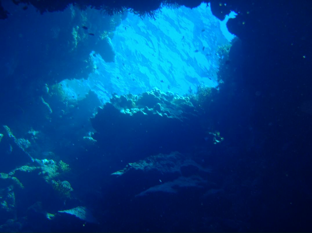 Vit Mi фотография #26