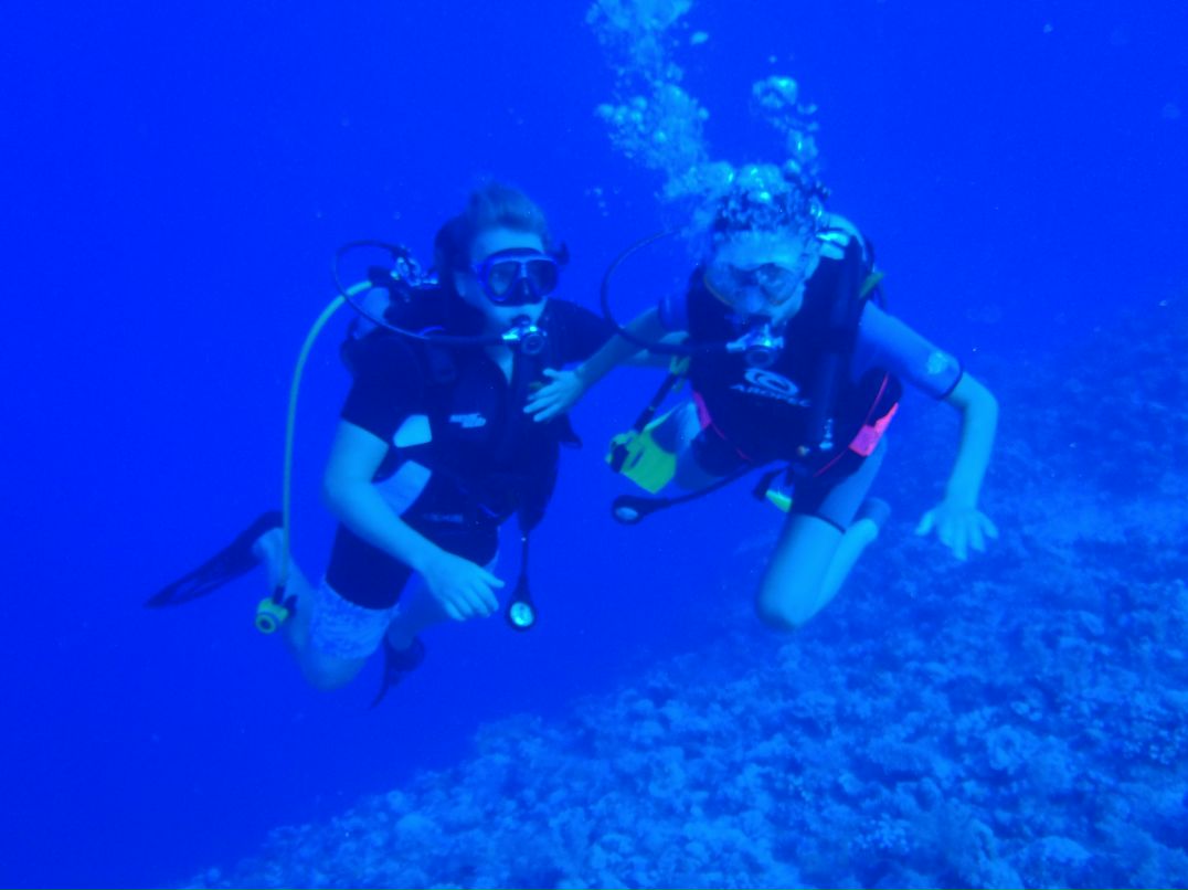 Vit Mi фотография #17