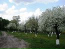 Северинівка Найкраща фотография #36 (источник - https://vk.com/id211637082)