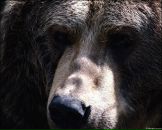 Фотография Захарова Алексея