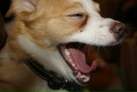 Фотография Русиновой Елены