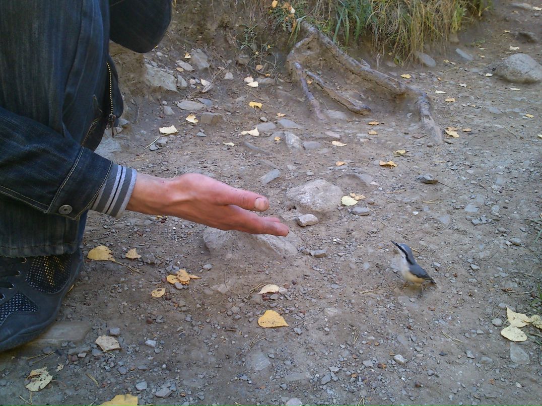 Дмитрий Неруш фотография #20