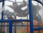 Фотография Протасов Дмитрий