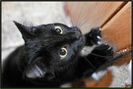 Фотография Радиборова Евгения