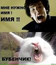 Фотография Комаровой Карины